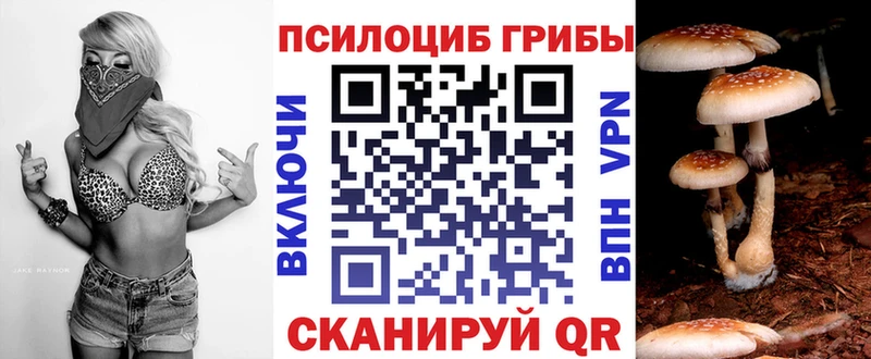 Галлюциногенные грибы прущие грибы  KRAKEN ссылки  Гуково  купить  цена 